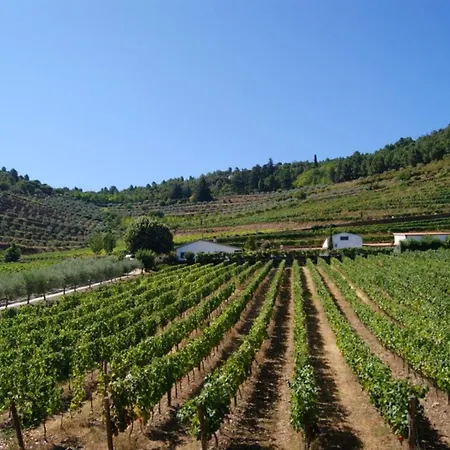 With 3 Bedrooms In With Wonderful Mountain View Shared Pool And Enclosed Garden Torre De Moncorvo