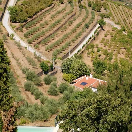 Villa With 3 Bedrooms In With Wonderful Mountain View Shared Pool And Enclosed Garden Torre De Moncorvo